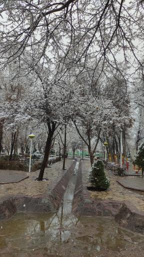 عکس بوستان سلام