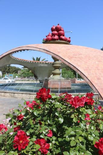 عکس میدان شهرداری