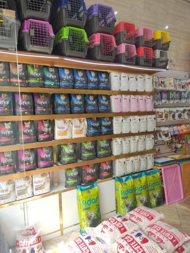 عکس پت شاپ تهرانسر