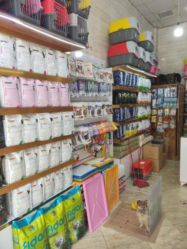 عکس پت شاپ تهرانسر