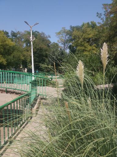 عکس بوستان سلام