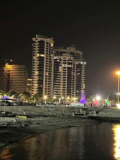 عکس برج های دوقلوی کیش