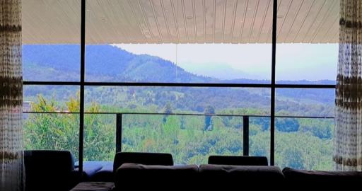 عکس دیلم جنگل
