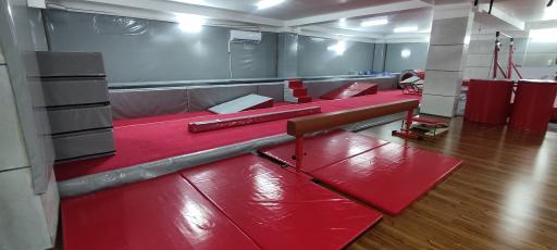 عکس باشگاه آناژیم (خانه ژیمناستیک)