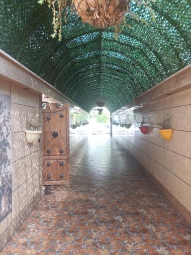 عکس رستوران پویا