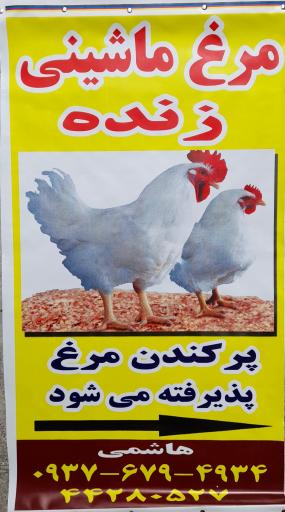 مرغ ماشینی زنده محمدهاشمی