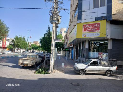 عکس کرمان