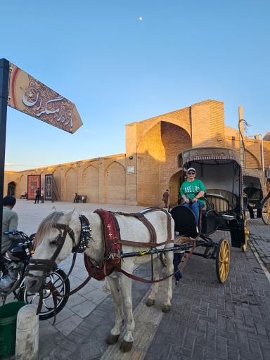 عکس کرمان