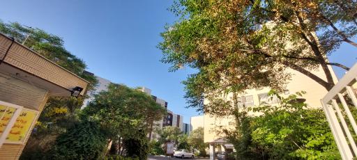 عکس مجتمع سید بحرالعلوم