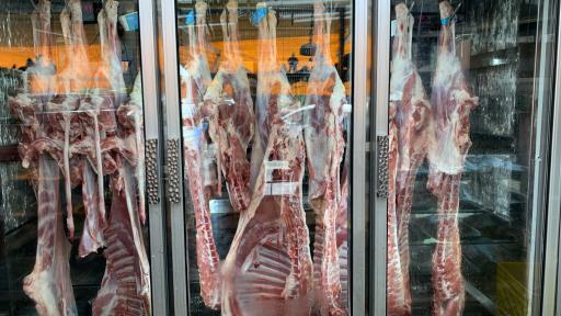 عکس سوپر پروتئین صحرا