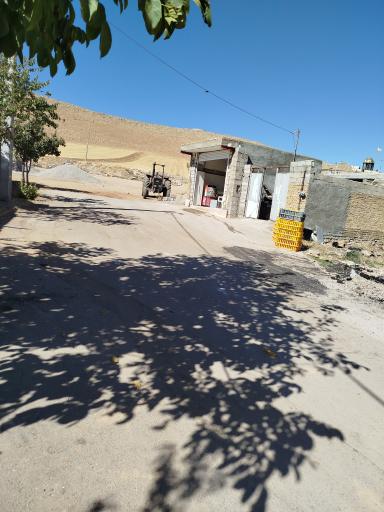 عکس مرغ فروشی علی اشرف مرادی