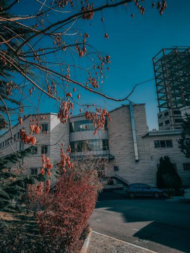 عکس دانشگاه صنعتی ارومیه