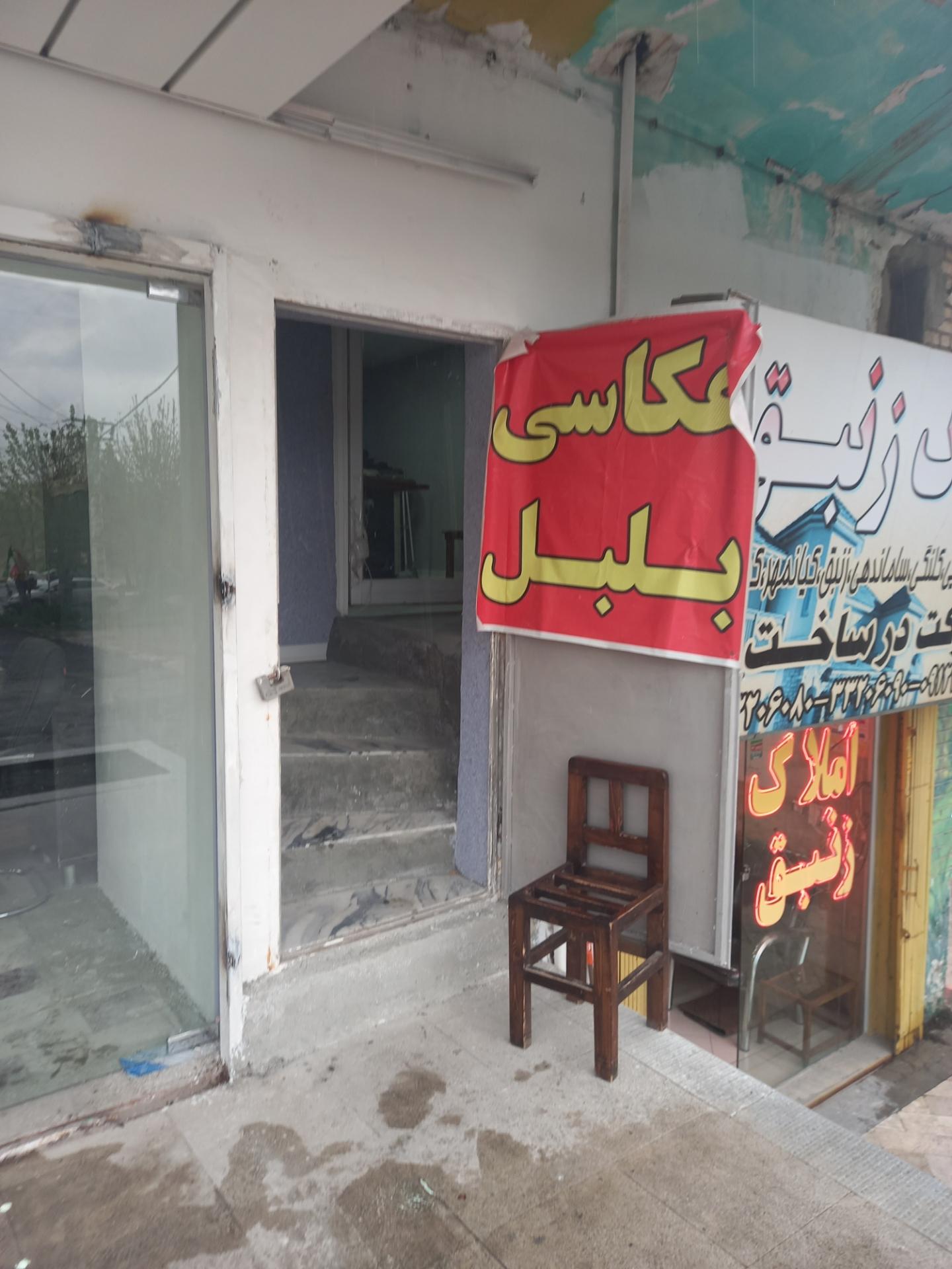 عکس عکاسی بلبل مهرشهر