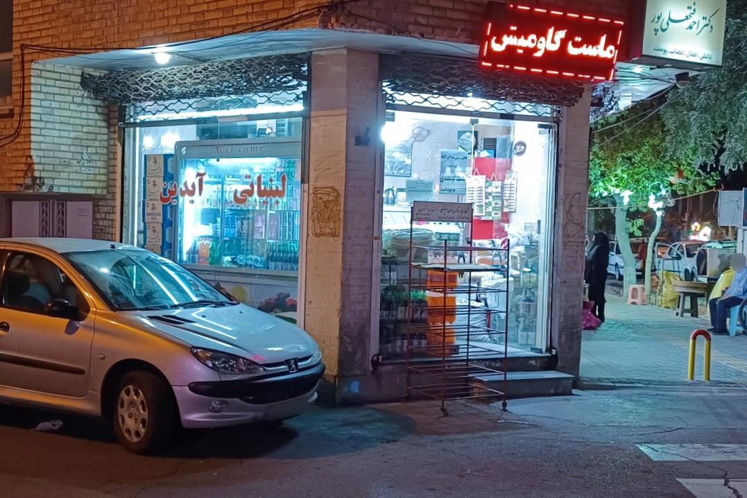 عکس لبنیاتی آیدین