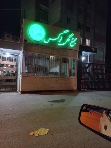 عکس مجتمع گل نرگس 