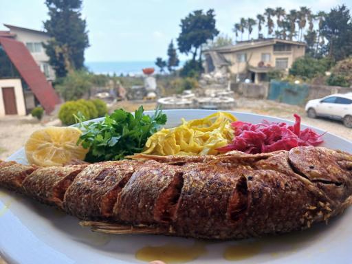 عکس رستوران اکبر جوجه برادران کلبادی HAJ