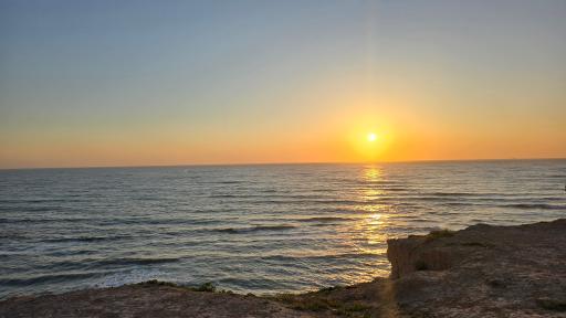 عکس ساحل ریشهر