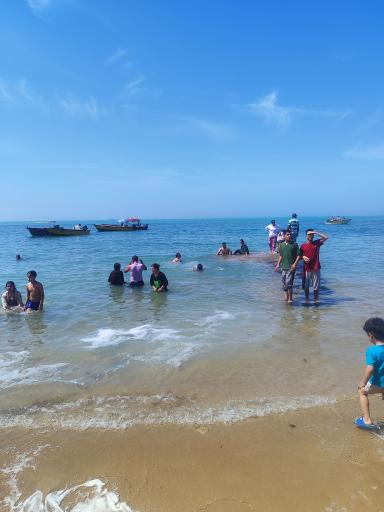 عکس ساحل ریشهر