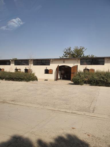 عکس آکادمی سوارکاری ملی