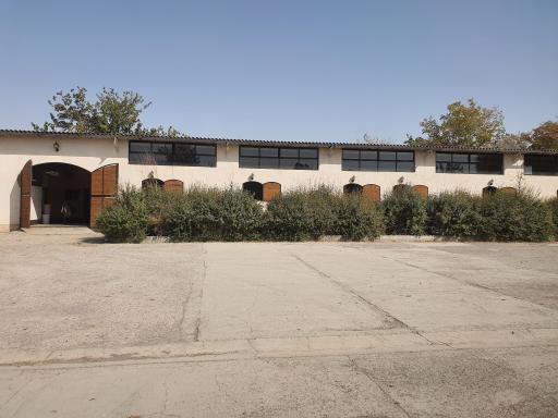 آکادمی سوارکاری ملی