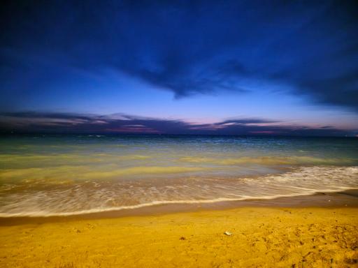 عکس ساحل ریشهر