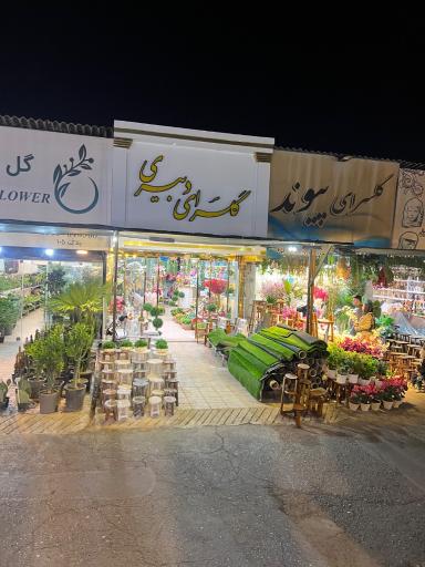 عکس گلسرای دبیری