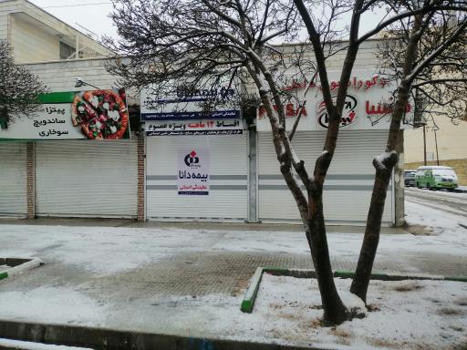 عکس بیمه دانا احسانی 