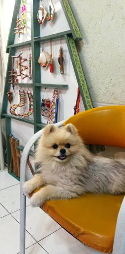 عکس کلینیک دامپزشکی ظفر