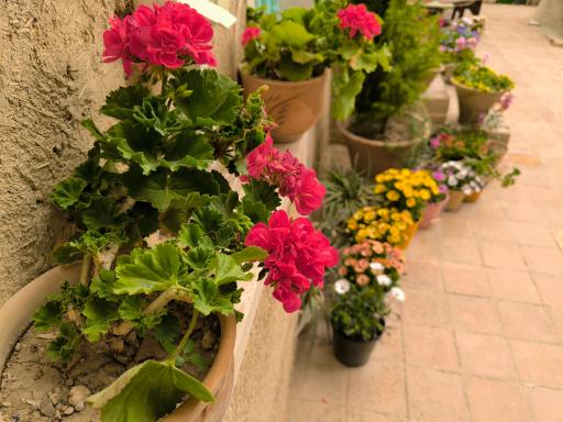 عکس اقامتگاه بومگردی مهرکده اصفهان