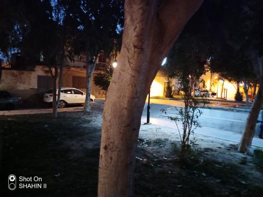 عکس بوستان لاله