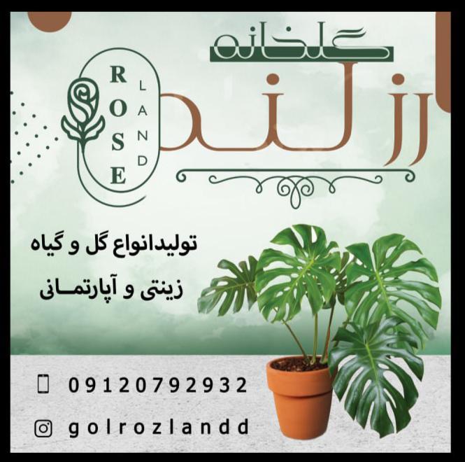 عکس گلخانه رزلند (هاشمی)
