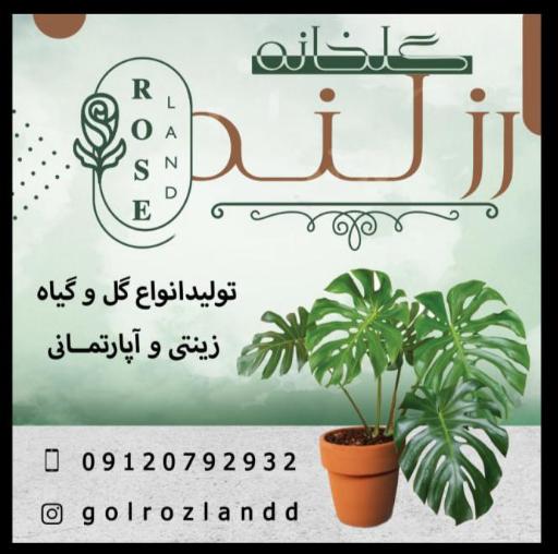 عکس گلخانه رزلند (هاشمی)