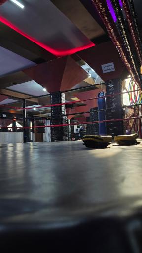 عکس باشگاه رزمی محمودی