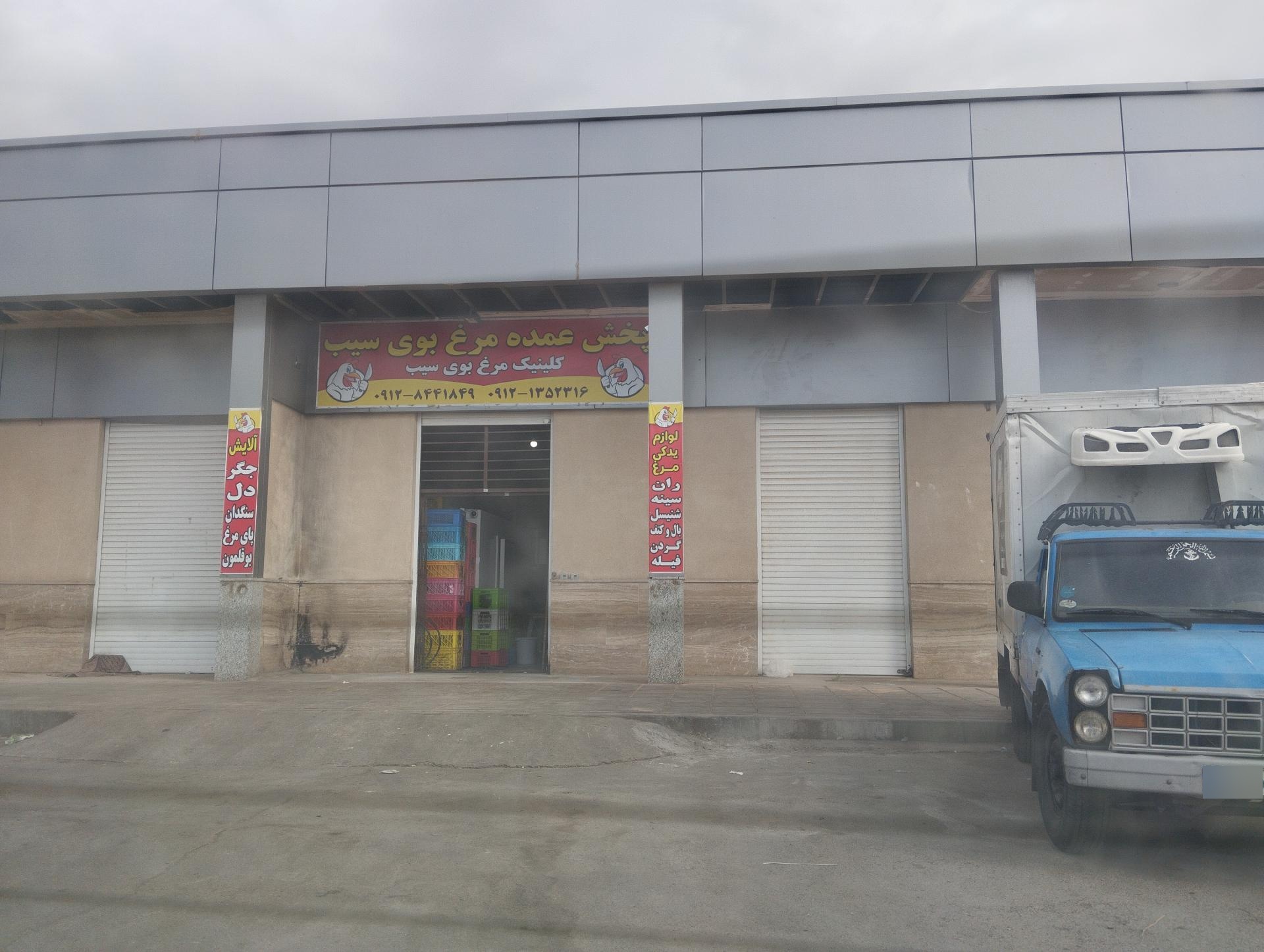 عکس پخش مرغ عمده بوی سیب 