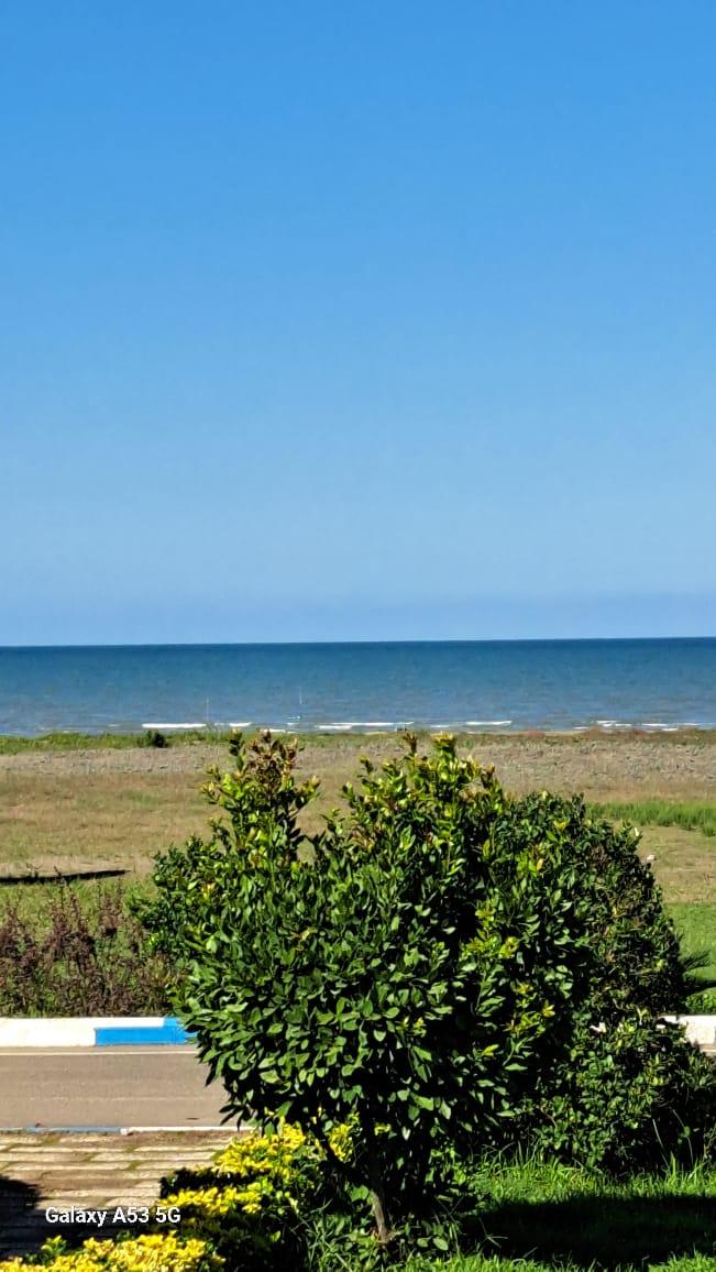 عکس سپیدکنار متین