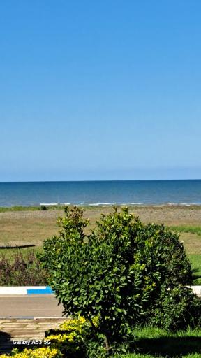 عکس سپیدکنار متین