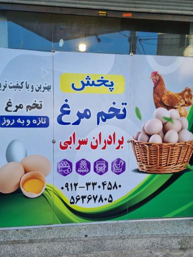 عکس پخش تخم مرغ برادران سرابی