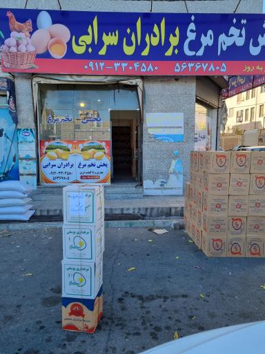 عکس پخش تخم مرغ برادران سرابی