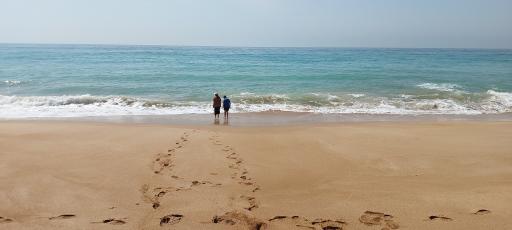 عکس مجتمع اقامتی و گردشگری نخلستان