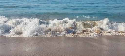 مجتمع اقامتی و گردشگری نخلستان