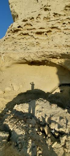 عکس مجتمع اقامتی و گردشگری نخلستان