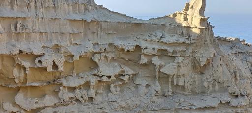 عکس مجتمع اقامتی و گردشگری نخلستان