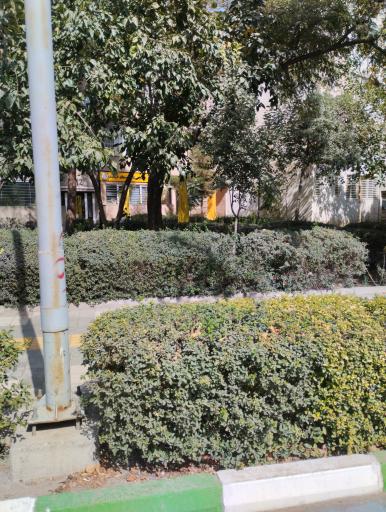 عکس موسسه حمایت از کودکان مبتلا به سرطان خراسان