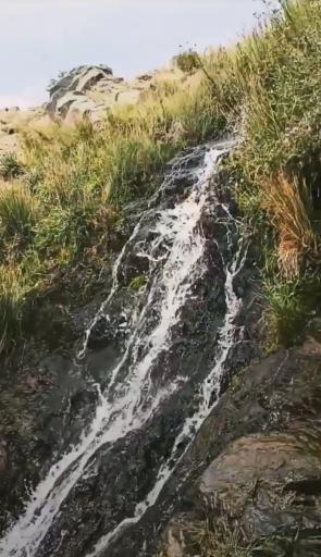 عکس چشمه آب معدنی