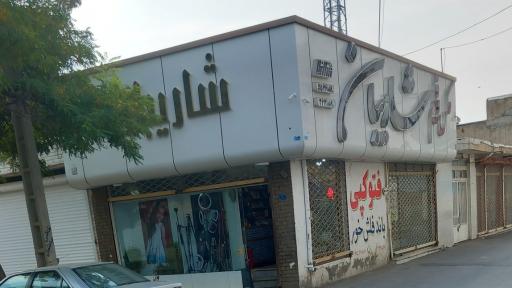 استودیو شاریبان