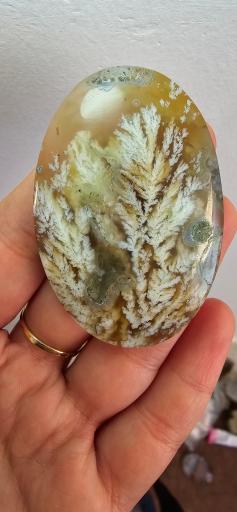 عکس کارگاه و آموزشگاه گوهر تراشی بوتیک سنگ 