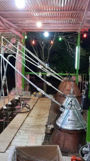 عکس گلاب کعبه قمصر