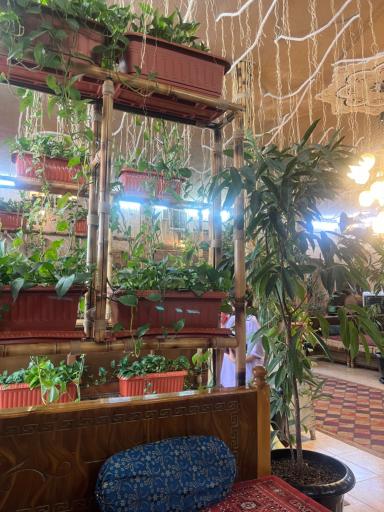 عکس رستوران قاجاریه