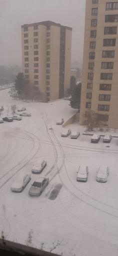 عکس شهرک لویزان۳