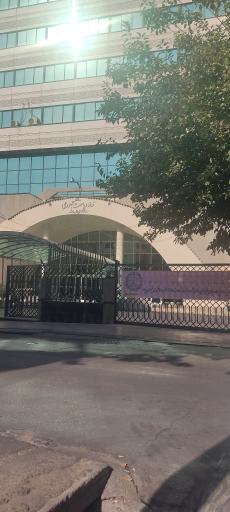 عکس معاونت اجرایی ریاست جمهوری (ساختمان کوثر)